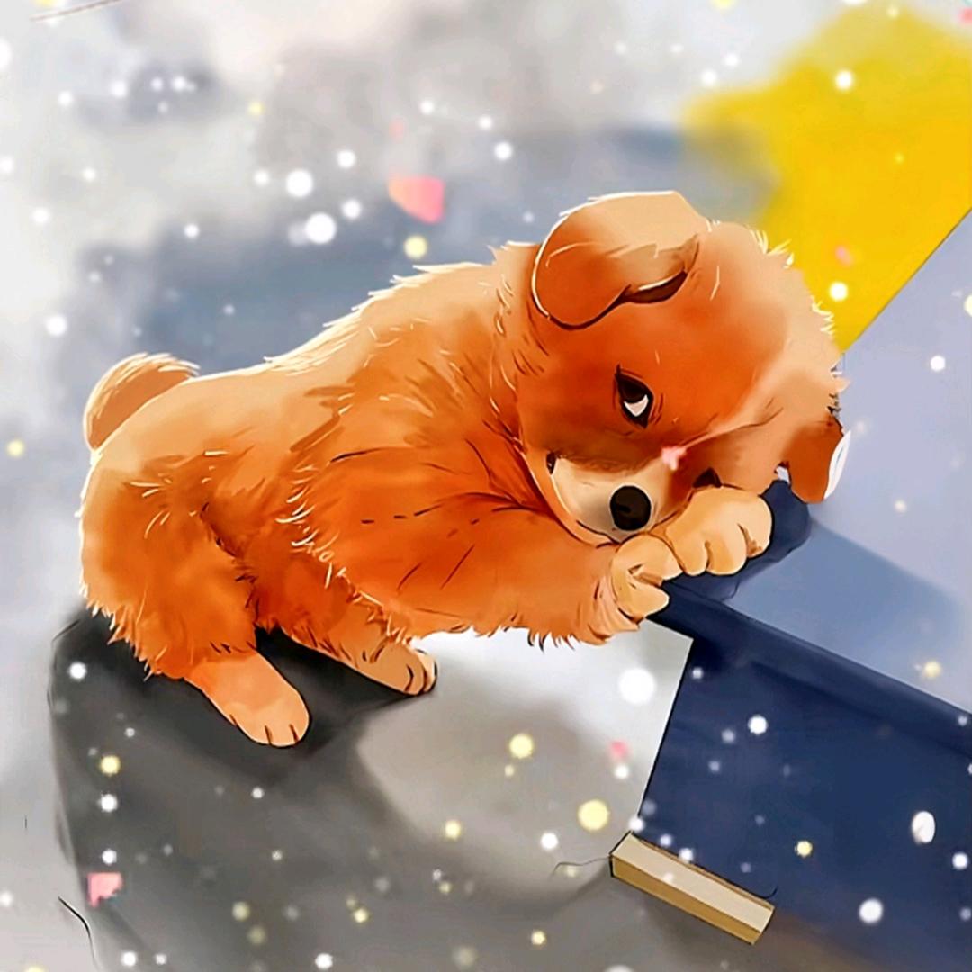 A抽福袋没中过