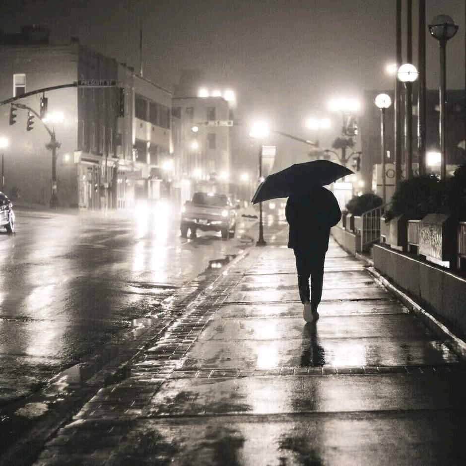 淋湿的木桃