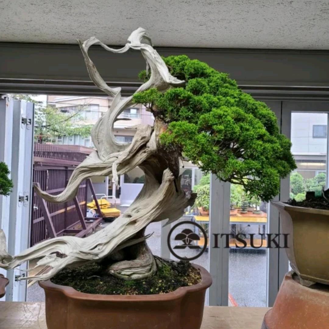 满天星辰不及你