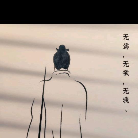 那年的春哥