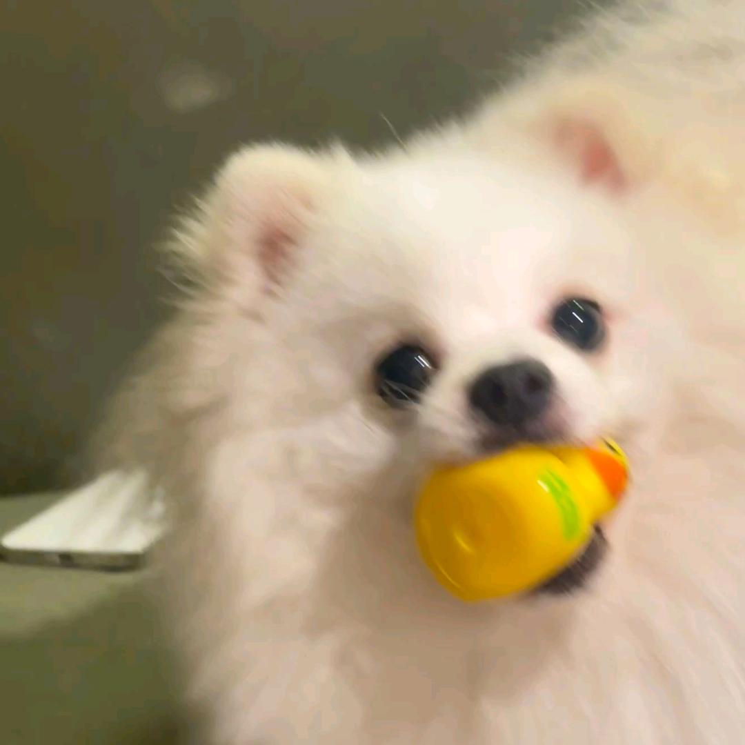 牛哥爱心树