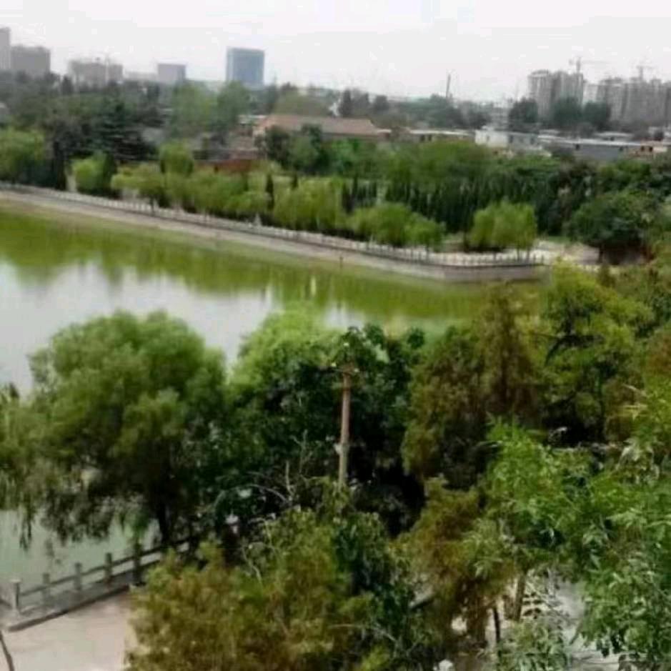 新乡市凯迪仕智能锁代理总部店长格格