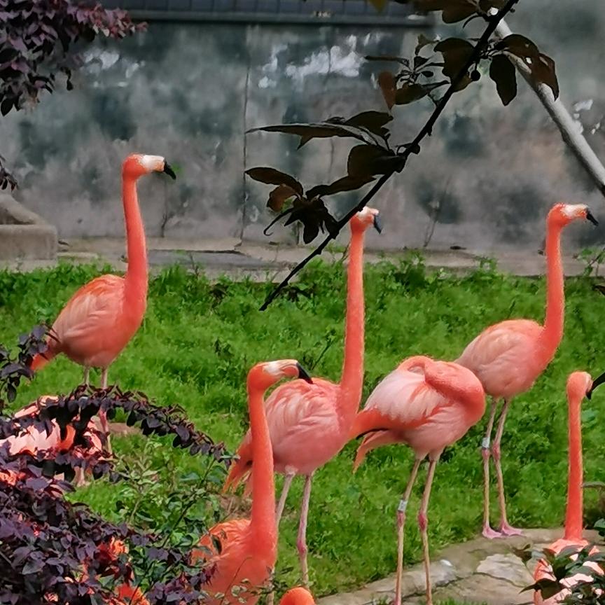 ꧔ꦿ渴望