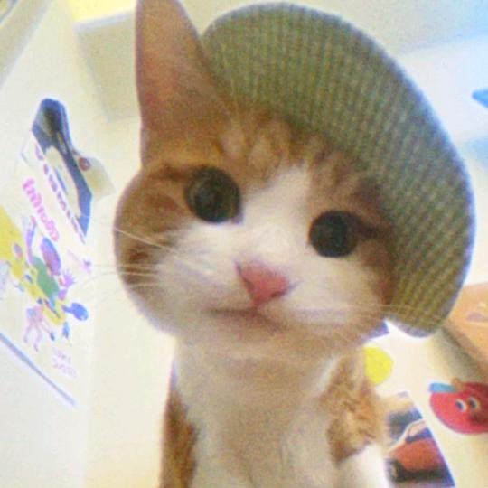 双层吉士小汉堡🍔