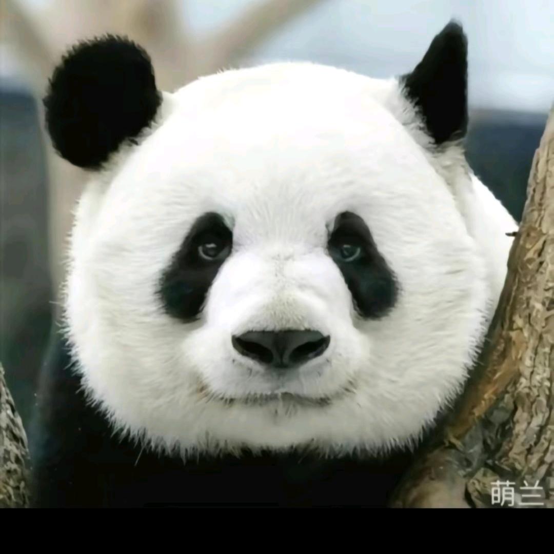 心糸❤️