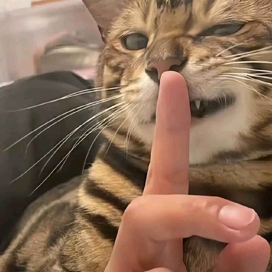 欧迪