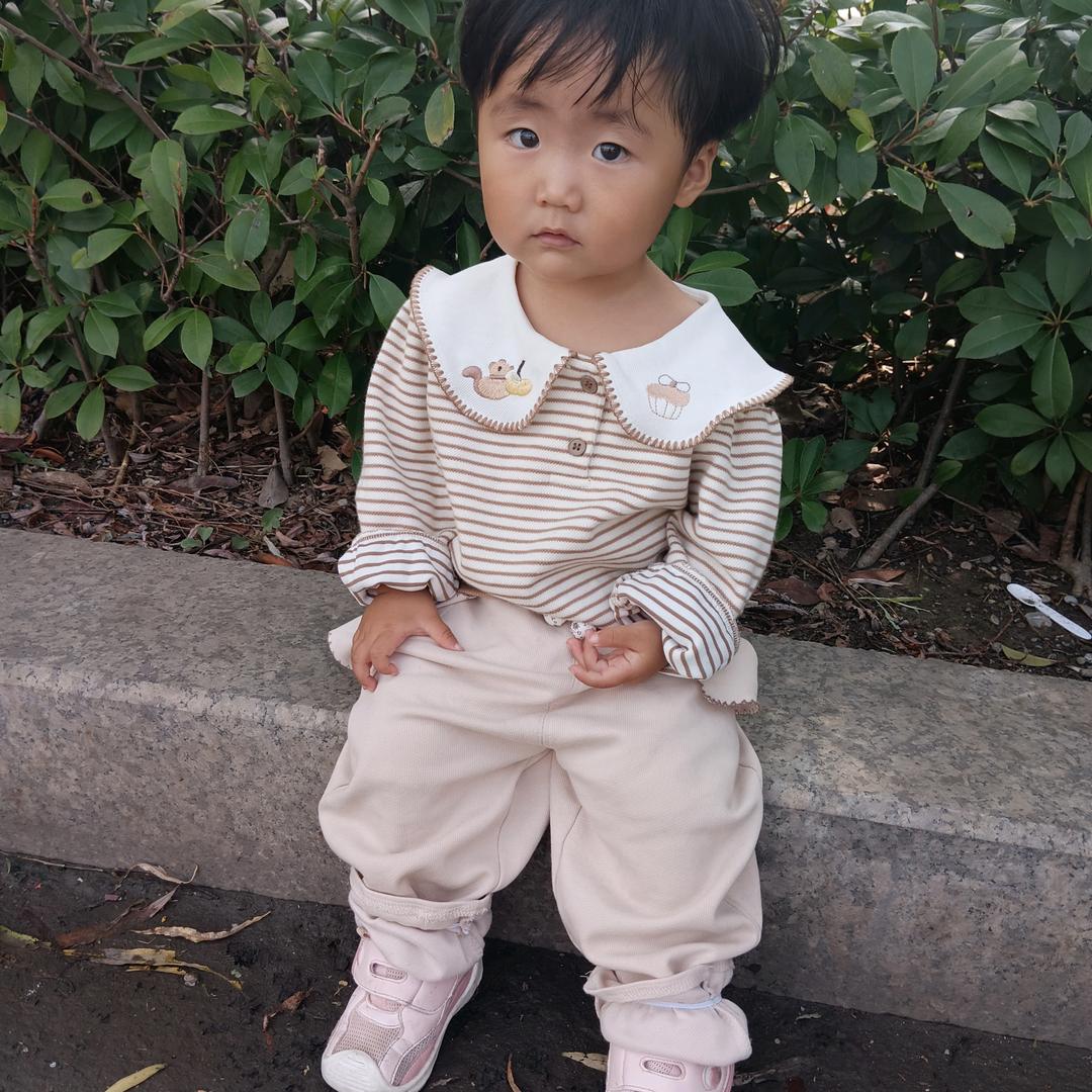 郭🍎🍎🍎🍎🌺🌺🌺🌺