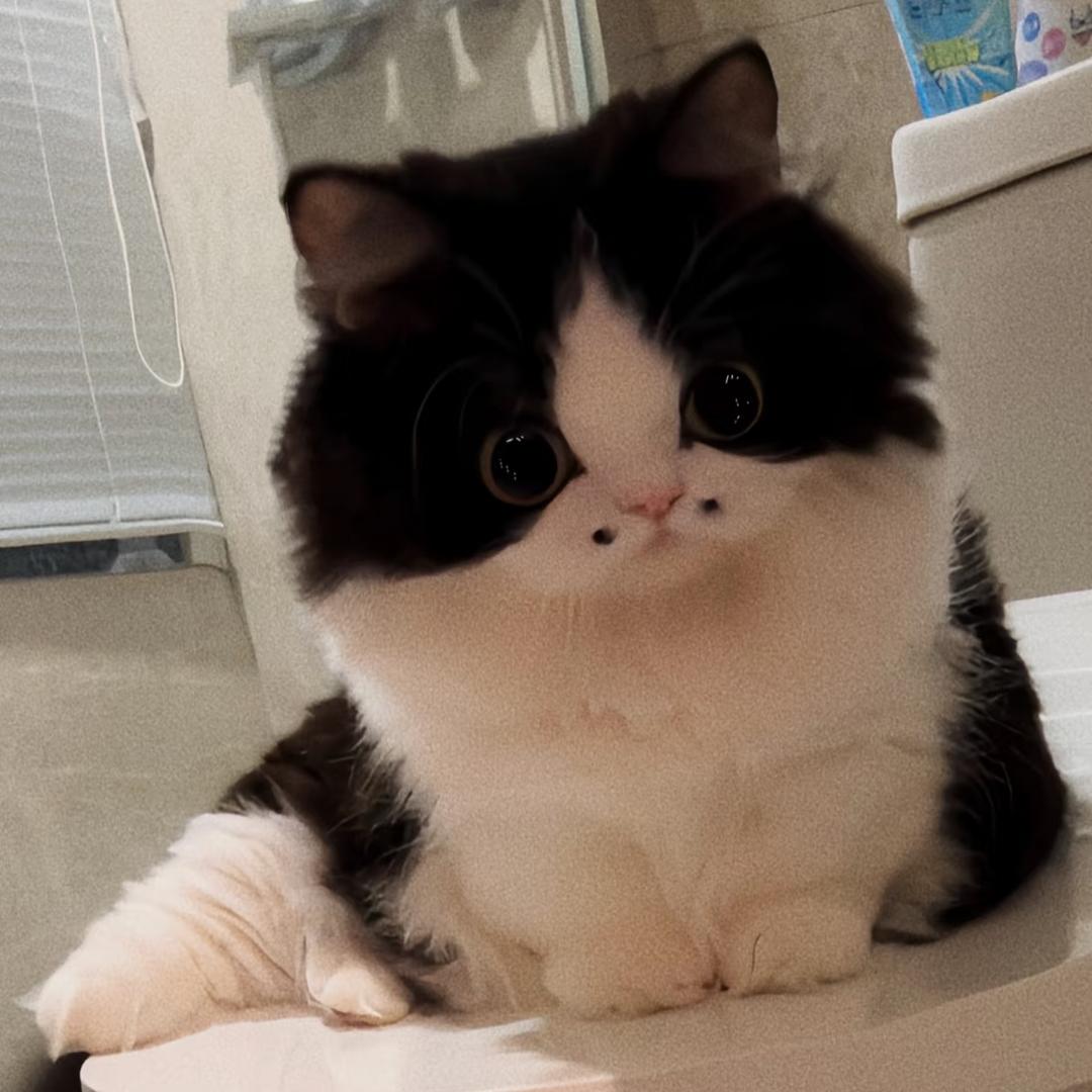 猫师傅牌螺蛳粉