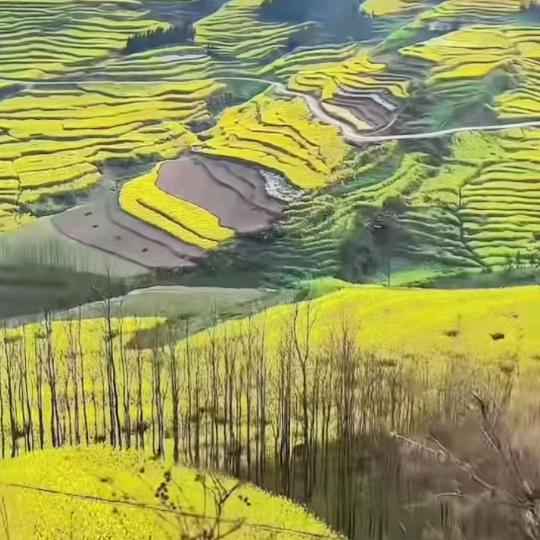 幸福的你