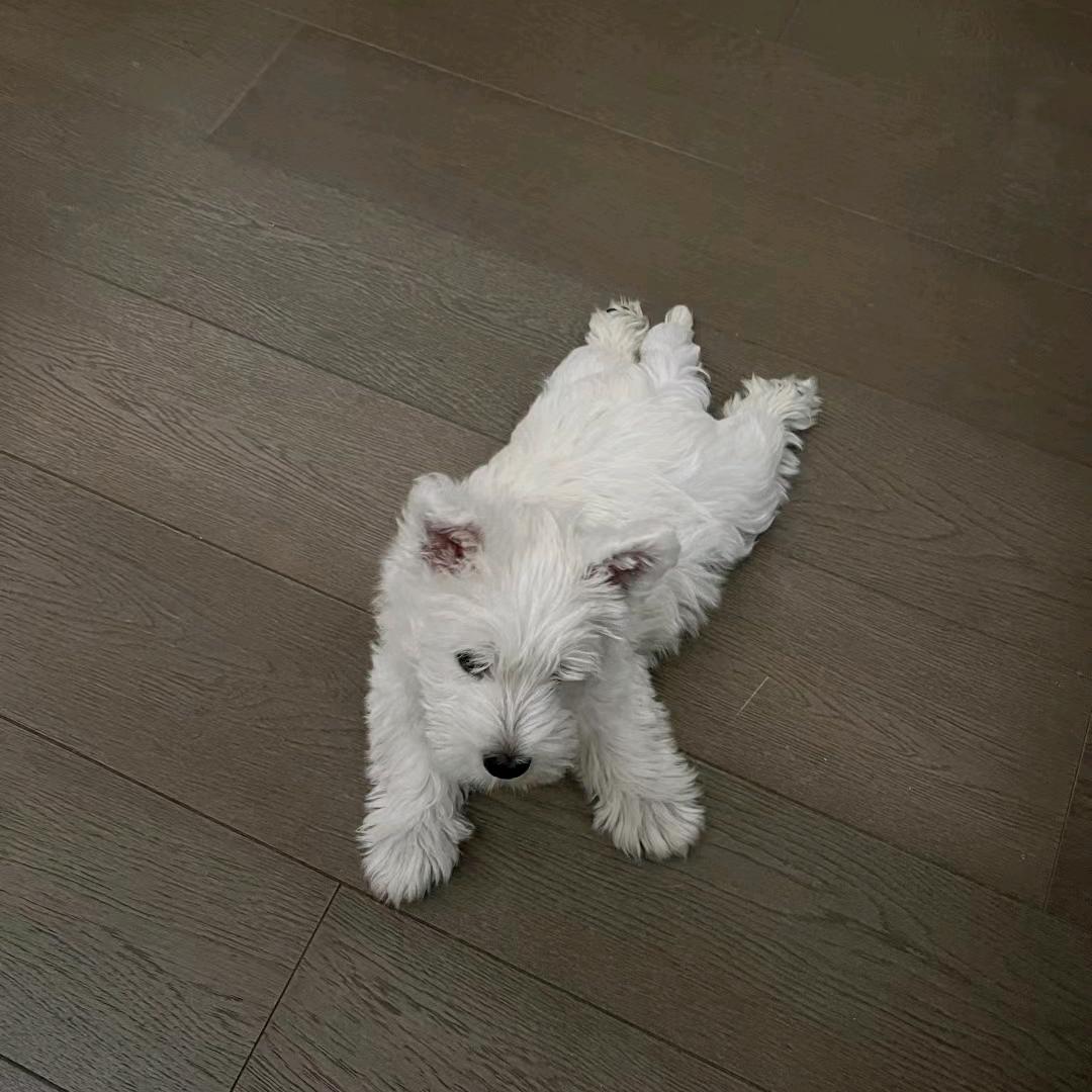 ^_？