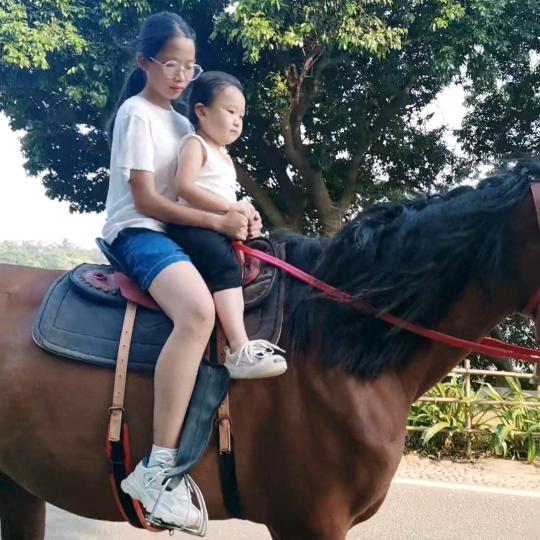 蔚蔚实在