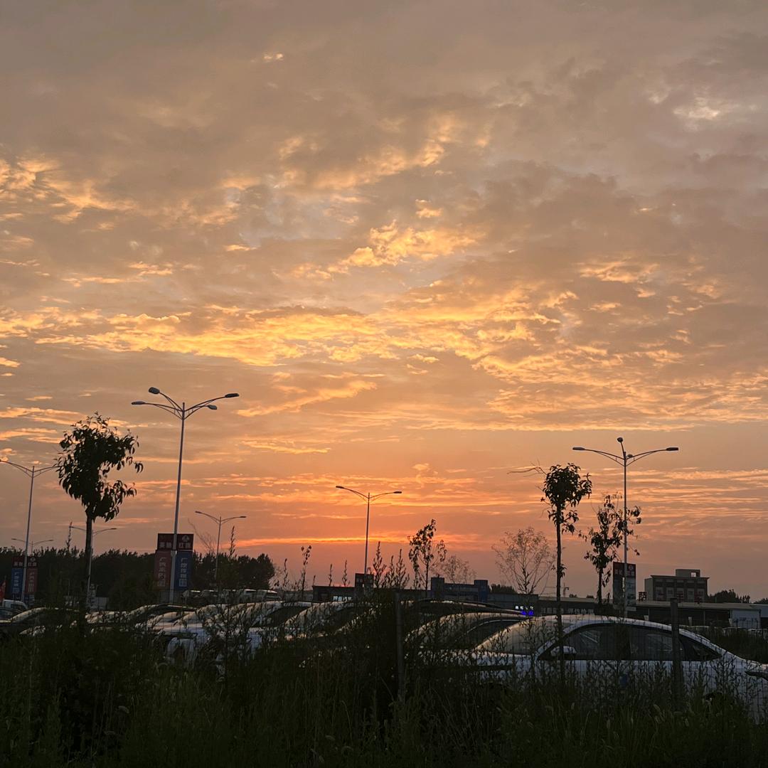 喜欢汽车的小赫