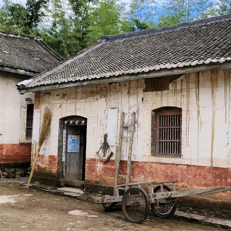 波仔哥
