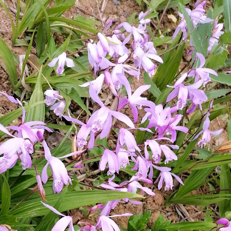 小雨点☔️☔️☔️☔️