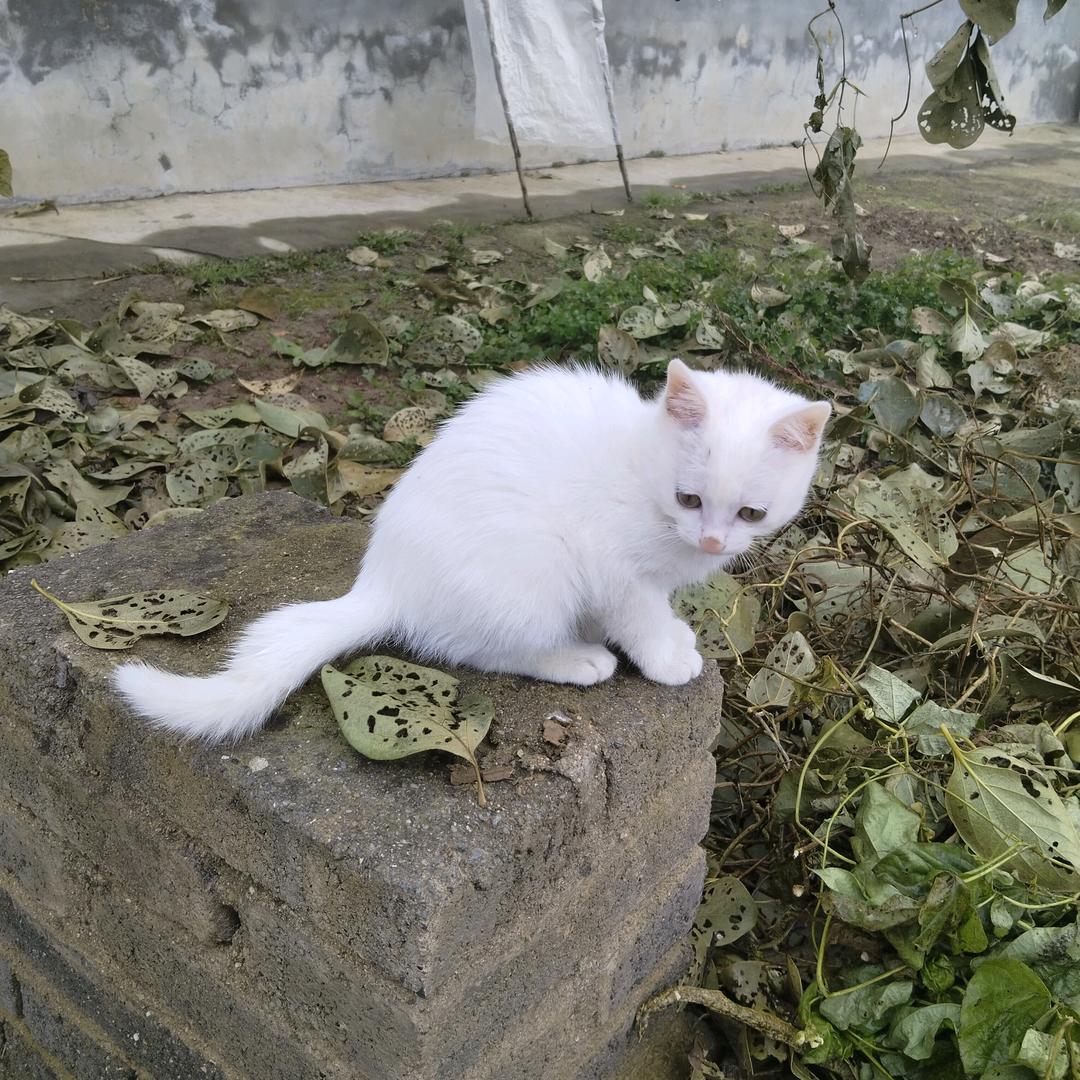 ⁷饱就睡◔.̮◔🍂