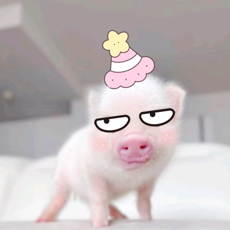 地豆