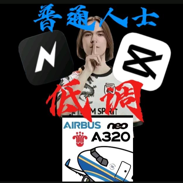 一架空客A320（飞友）