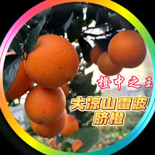 七 哥（生鲜水果店）