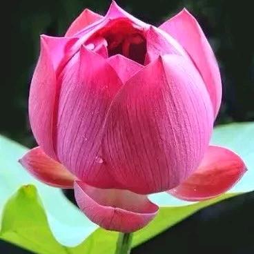 愿大家平安健康