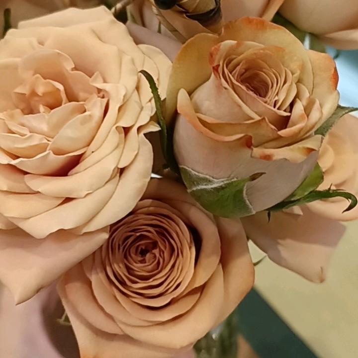 黄小茶的黄❥(ゝω・✿ฺ)