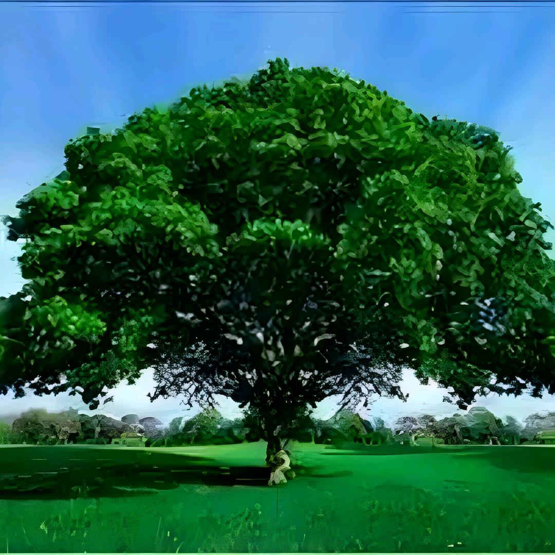 小木姐✌🏻✌🏻✌🏻✌🏻✌🏻🌺