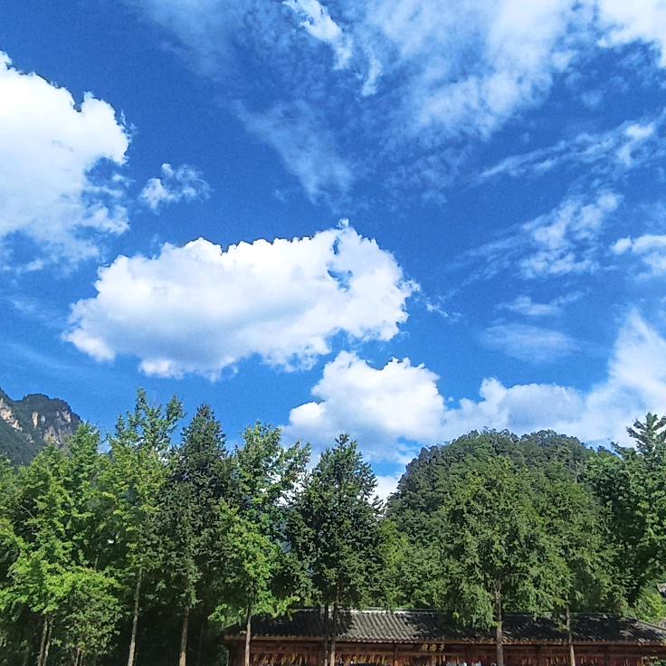 柒家元素～一抹亮色