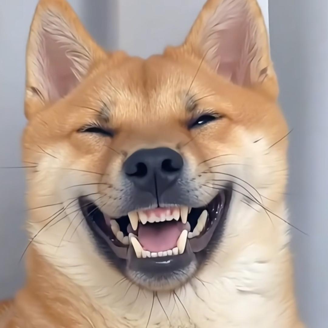 ，，，墩墩，，，