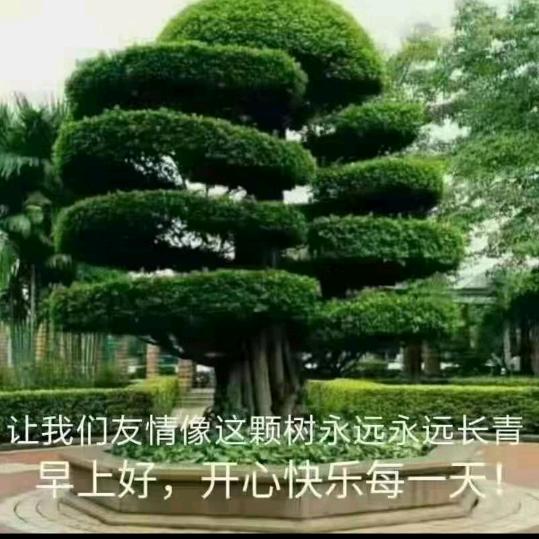孤单小暖