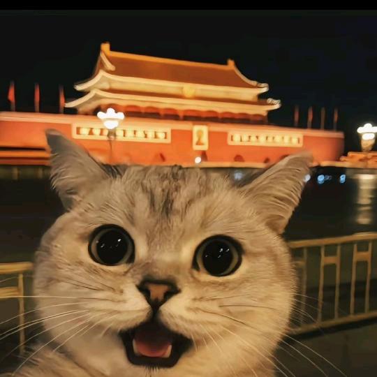 别顺我打火机～