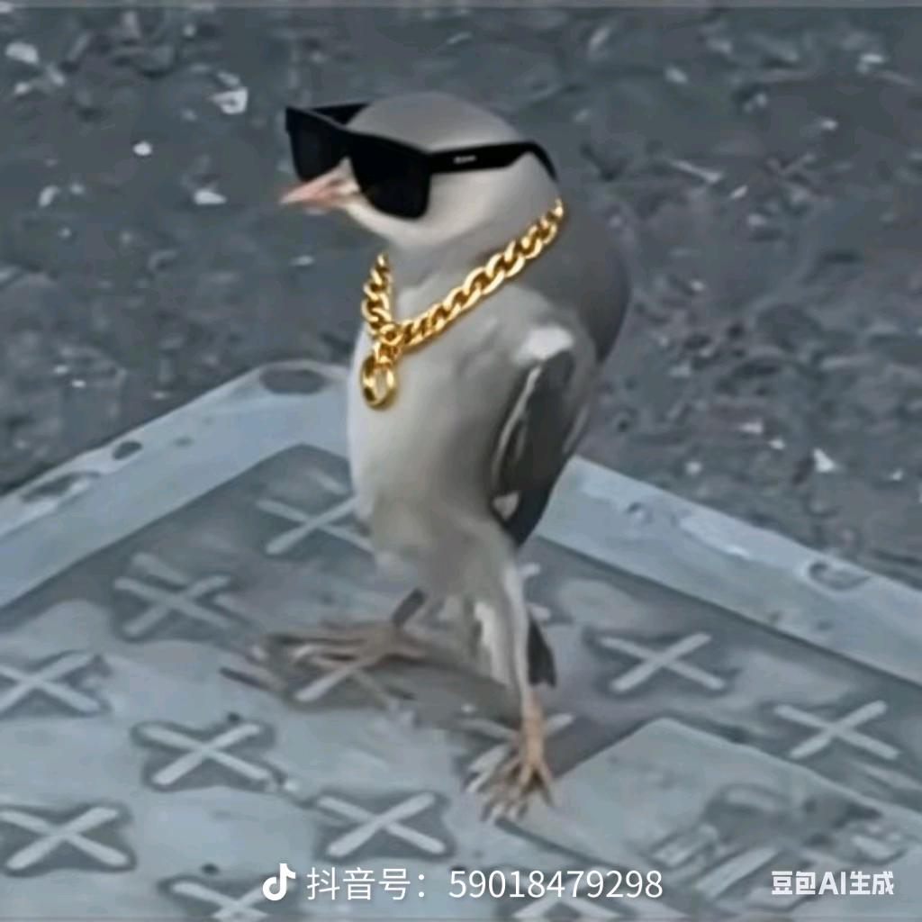 Free阿杰
