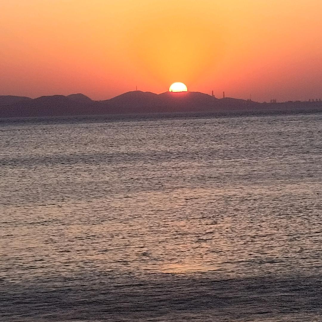 游泳