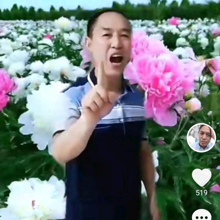 健康王
