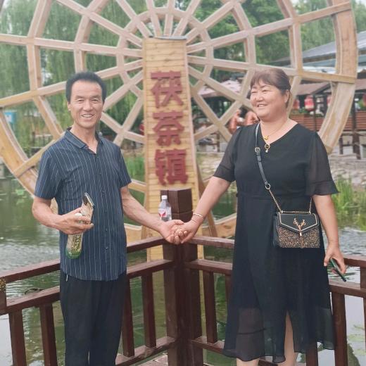 盛开的玫瑰