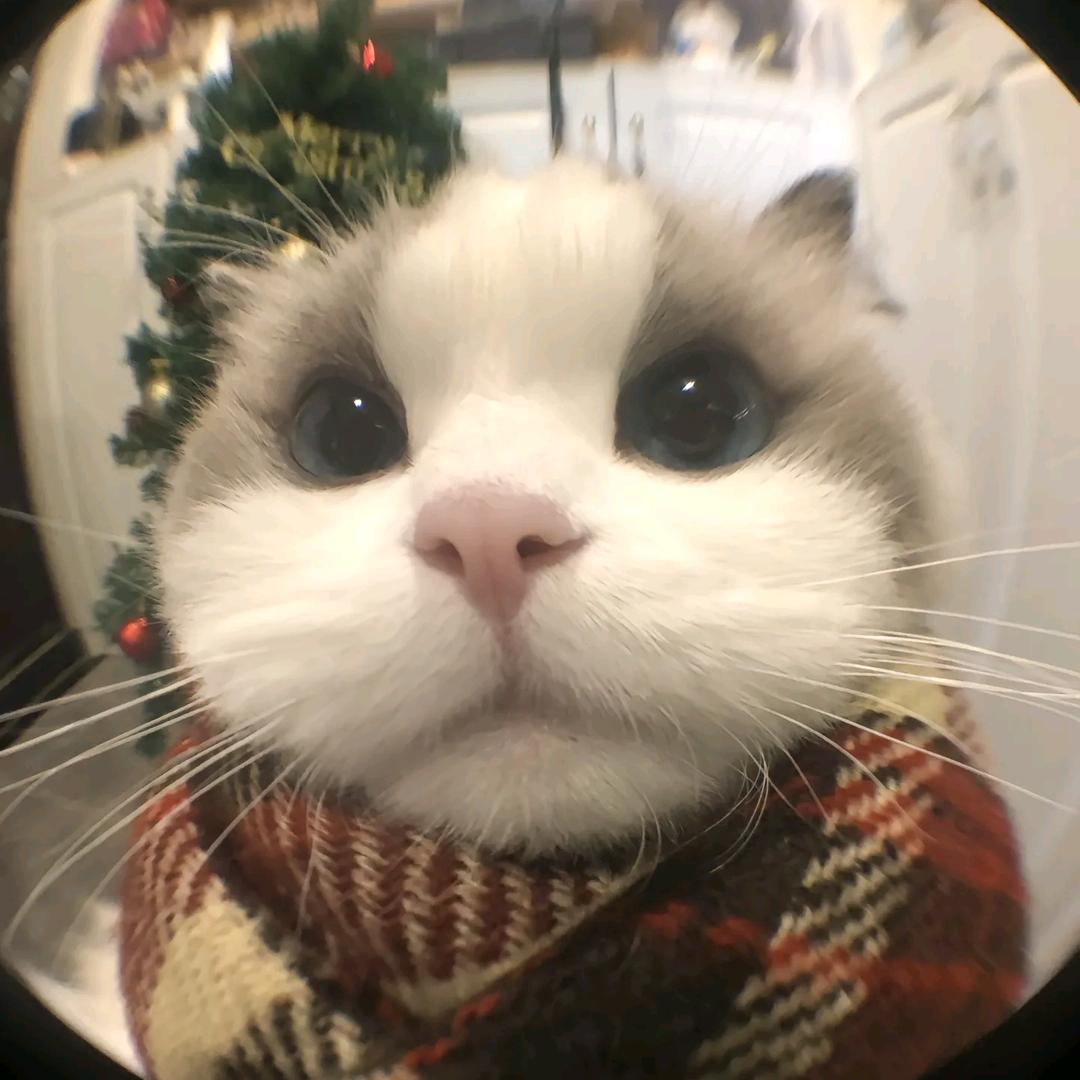 小呓