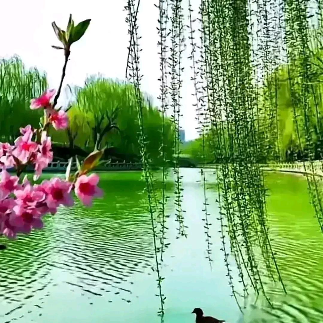 何必打扰