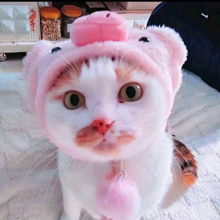 怪我太天真