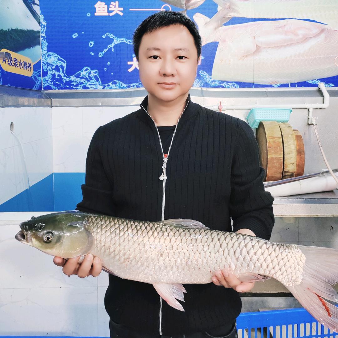 顺德玩吃乐边度好