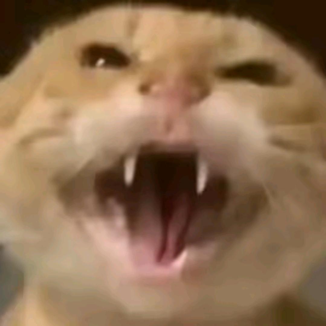 专哈白手套(浙江省慈溪市五塘南村孙笑川)