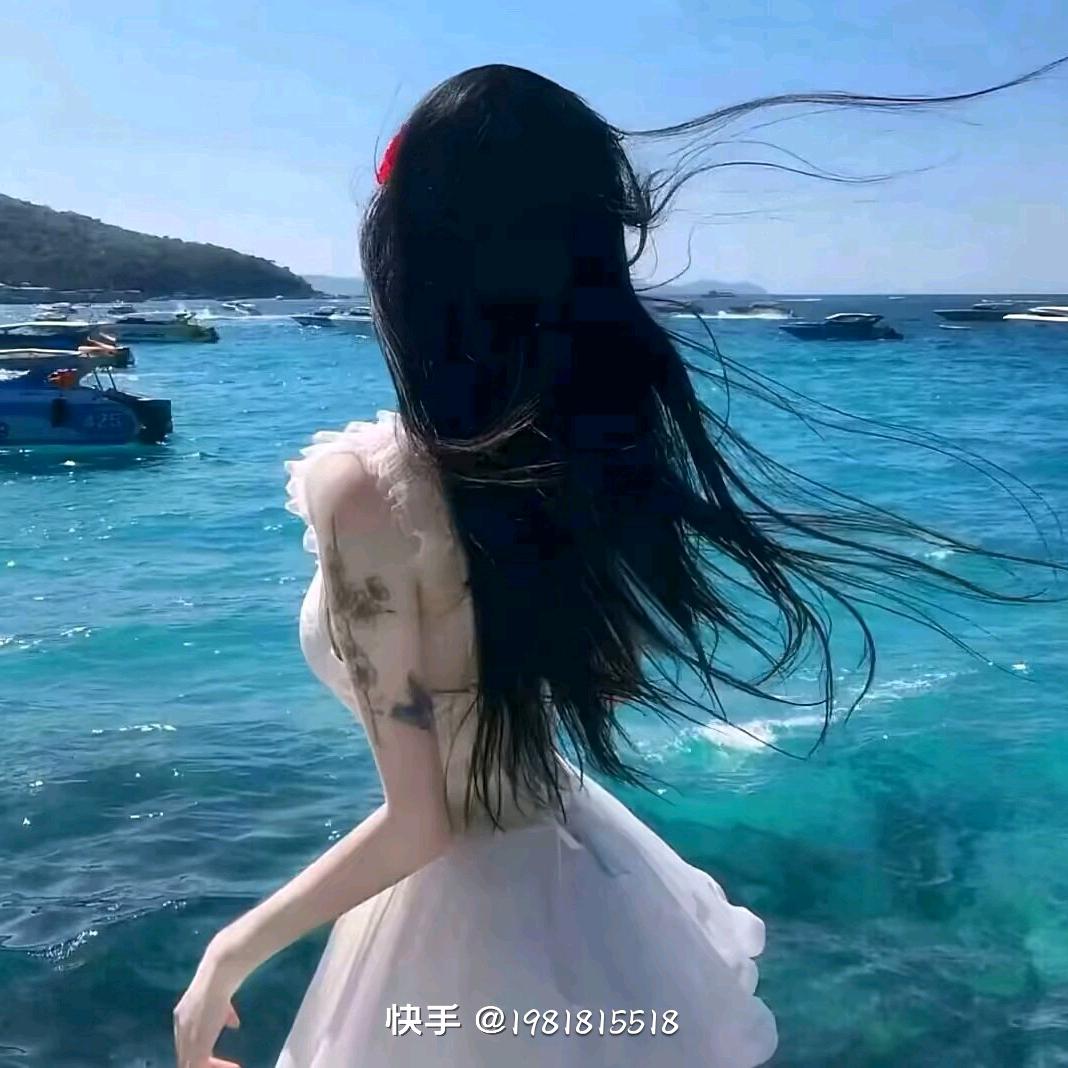 胖咩咩的懒猫