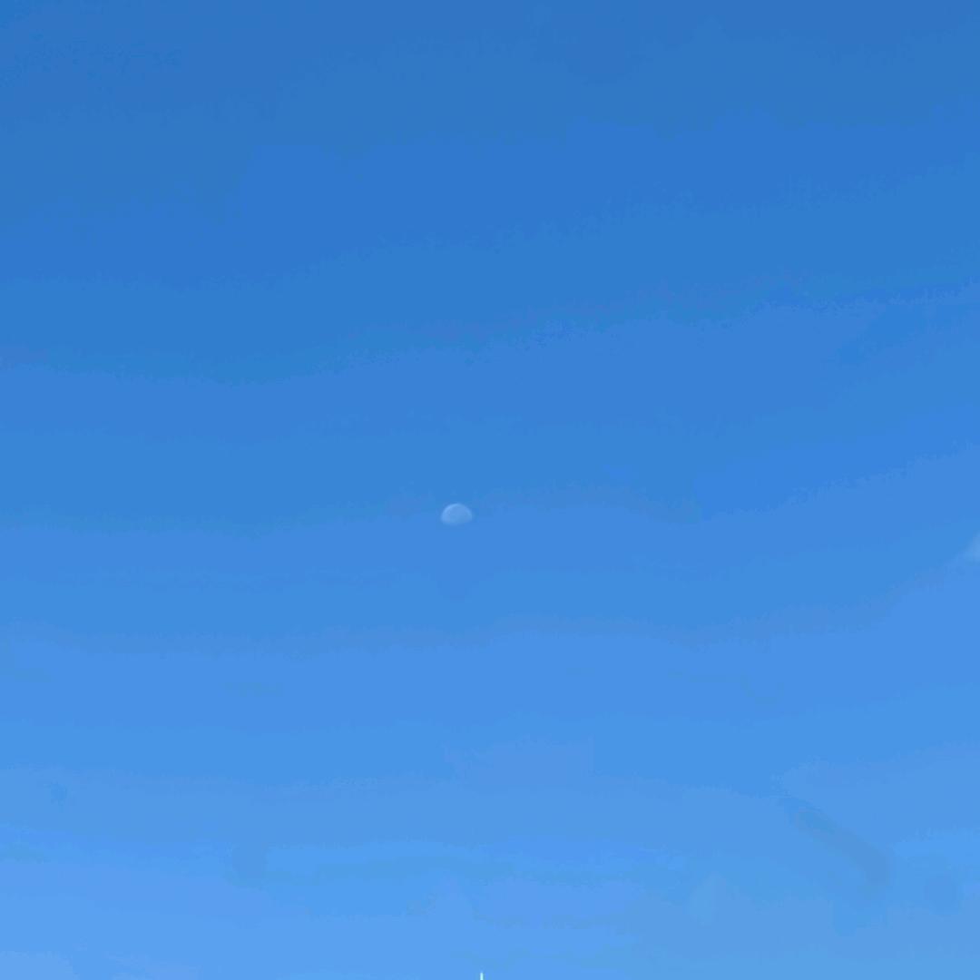 简元春