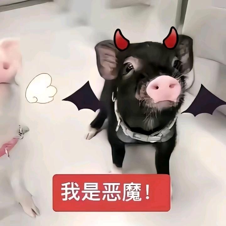 许姩念