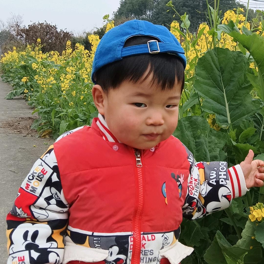 漂洋过海来看我