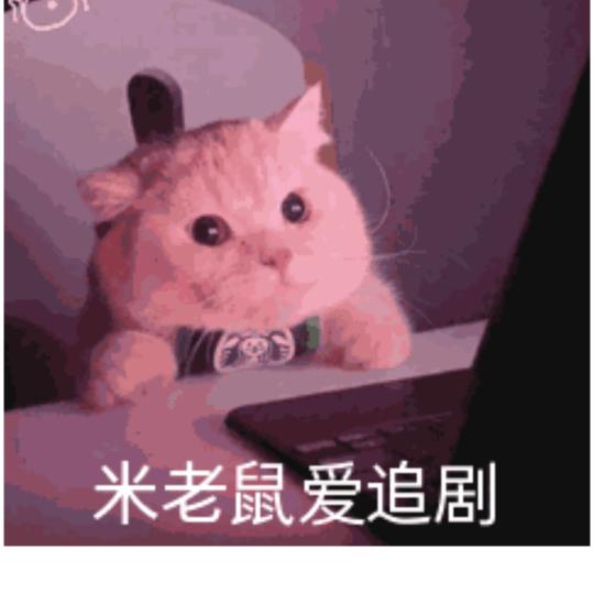 美女，好可爱！我可以追你吗？