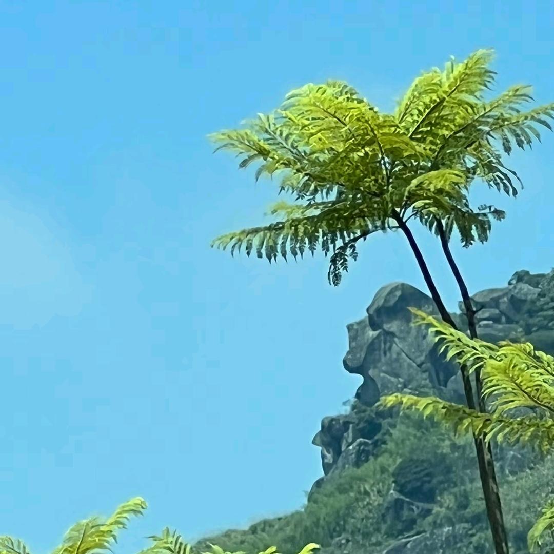 小左同学
