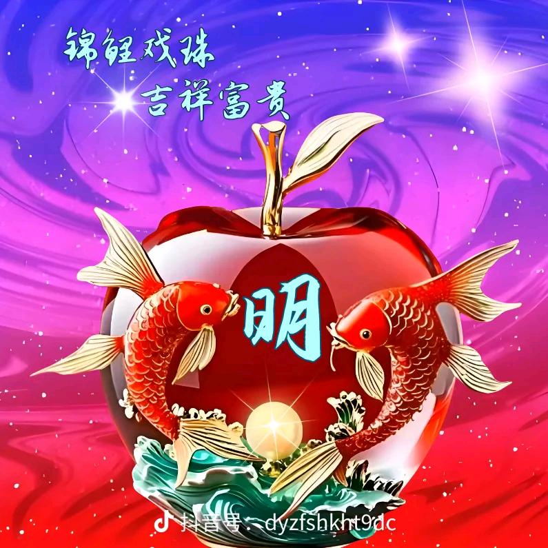 骑着乌龟逛世界