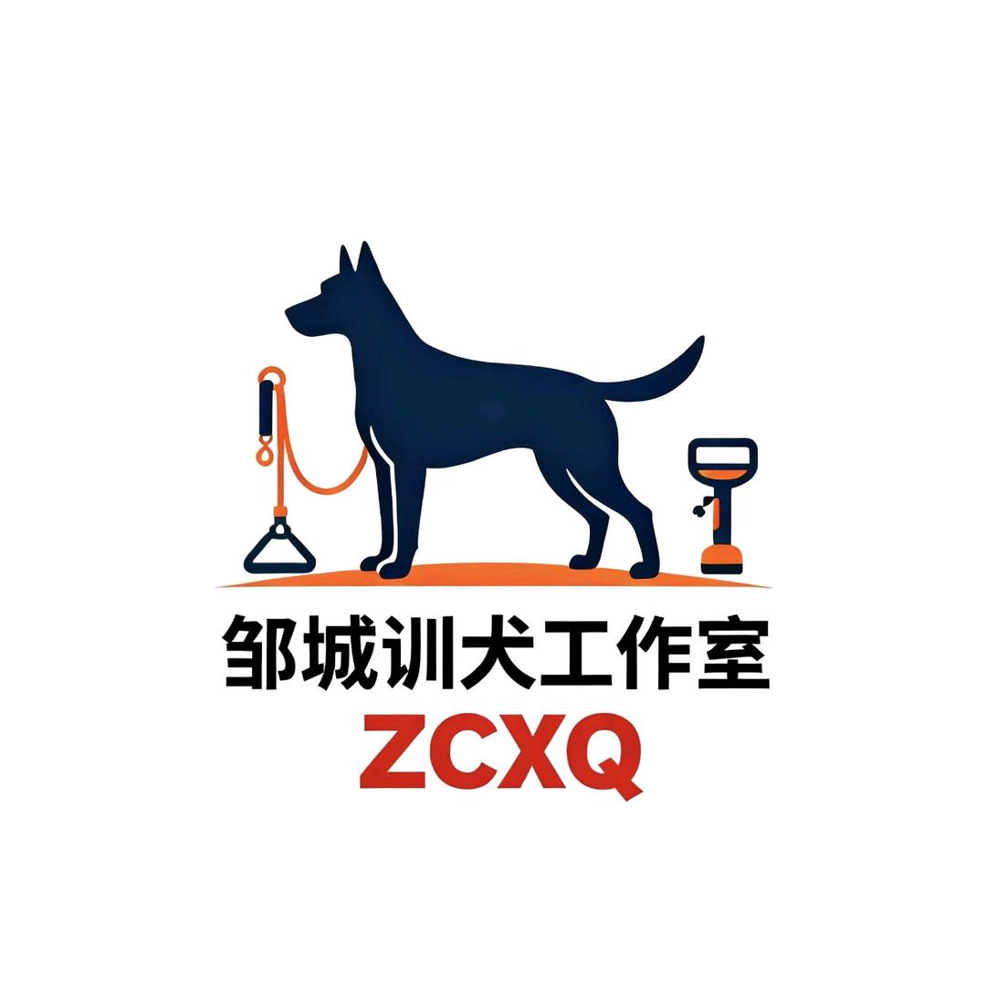 邹城宠物训练工作室