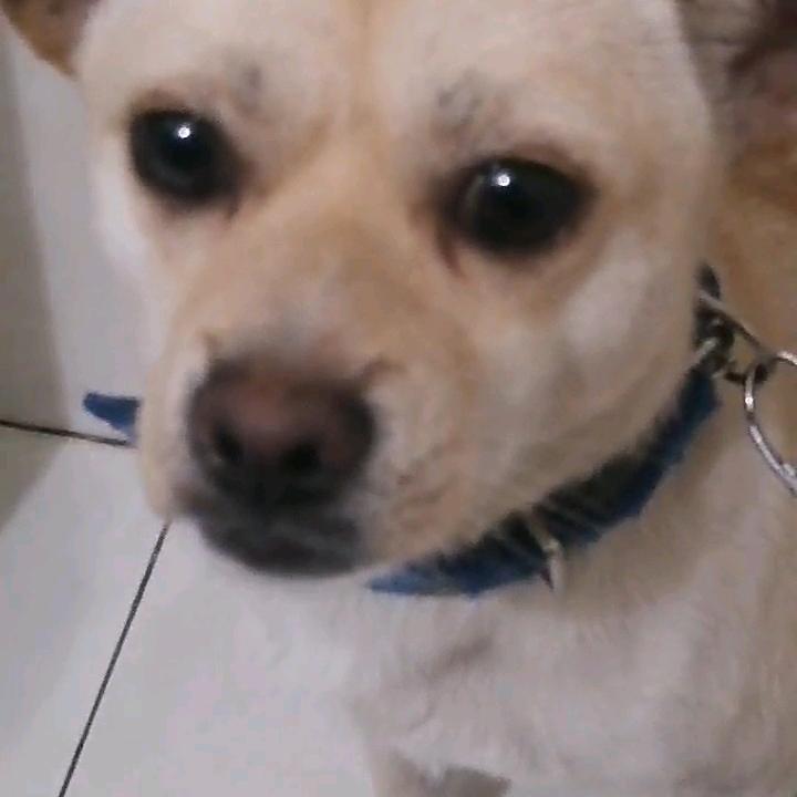 佳佳圆圆一家园