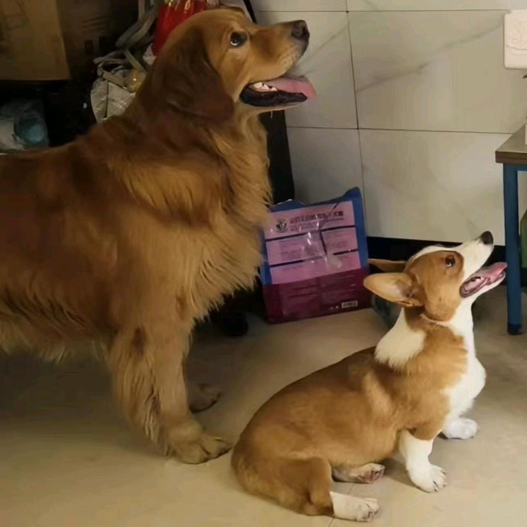 小容