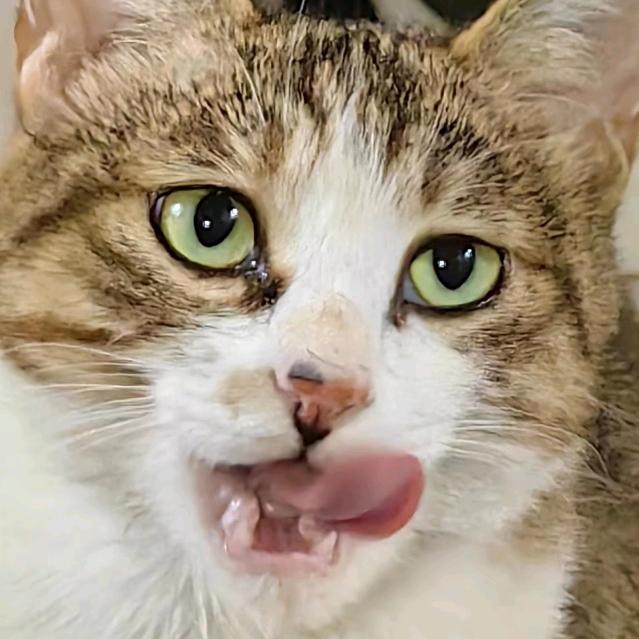 一笑而过