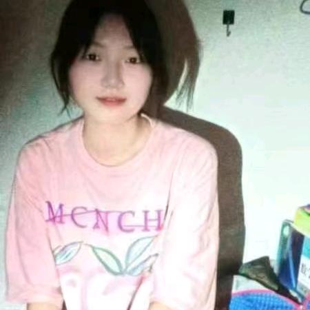 呆呆小刺猬